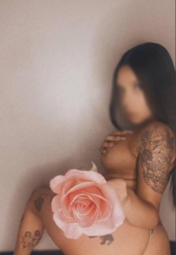AMINA MARTÌNEZ- CASH ONLY, 22 Latino/Hispanic female escort, Fredericton